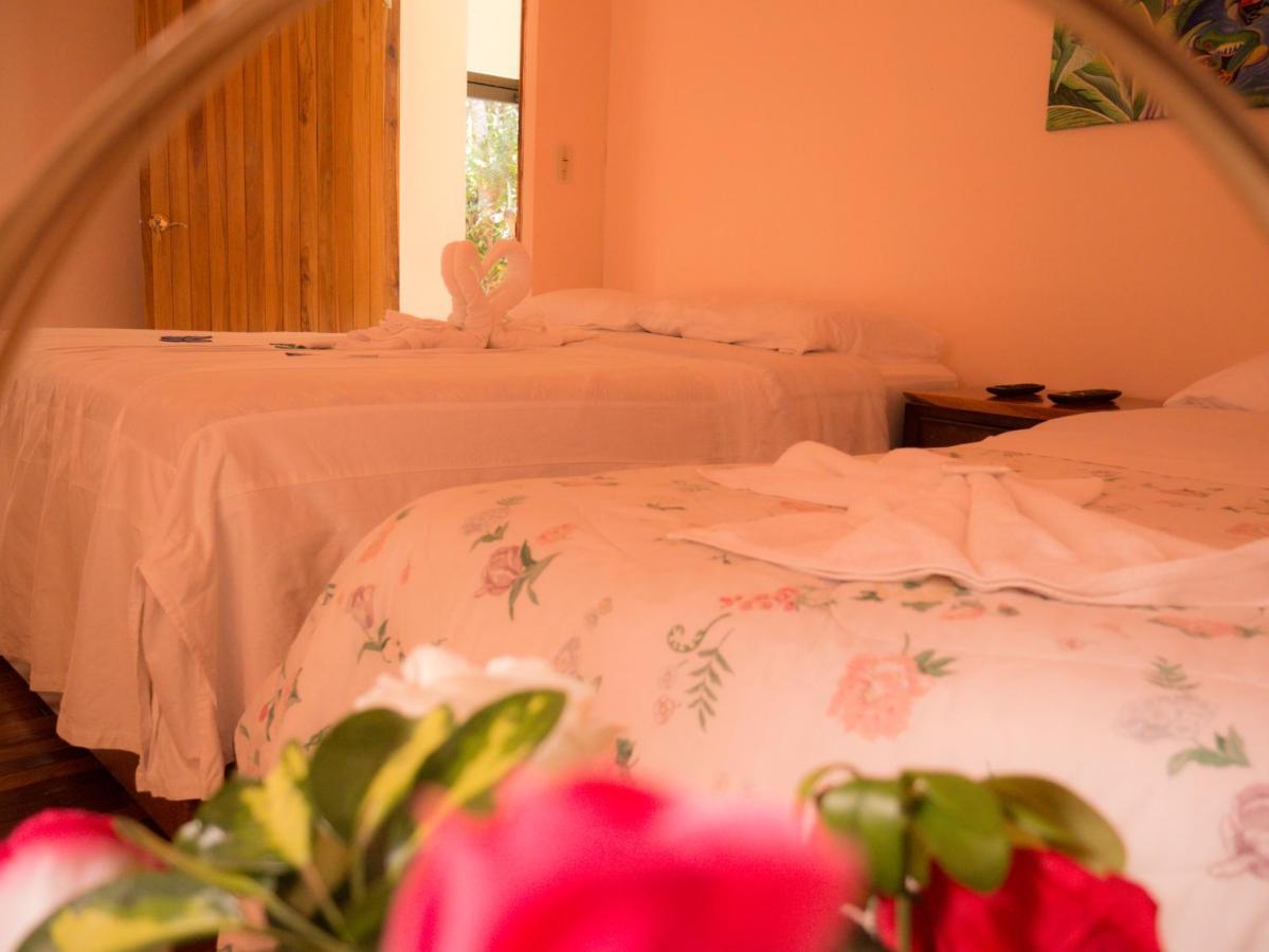 Monte Los Lirios Lodge Monteverde ภายนอก รูปภาพ